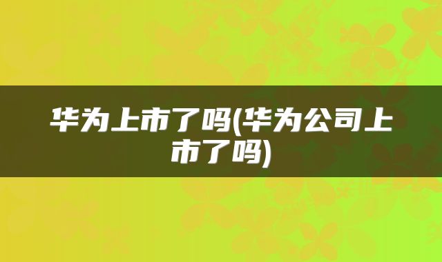 华为上市了吗(华为公司上市了吗)