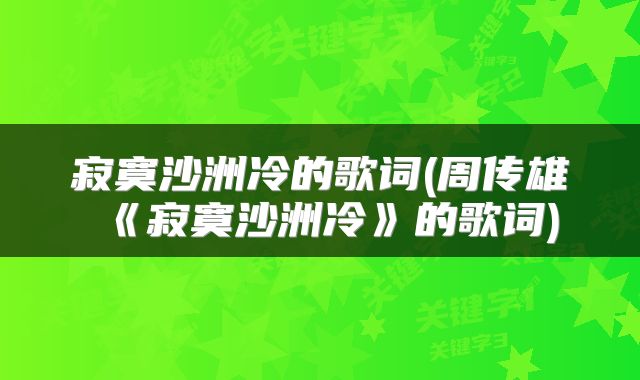 寂寞沙洲冷的歌词(周传雄《寂寞沙洲冷》的歌词)