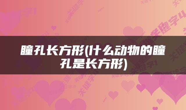 瞳孔长方形(什么动物的瞳孔是长方形)