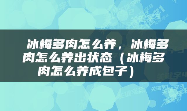  冰梅多肉怎么养，冰梅多肉怎么养出状态（冰梅多肉怎么养成包子） 