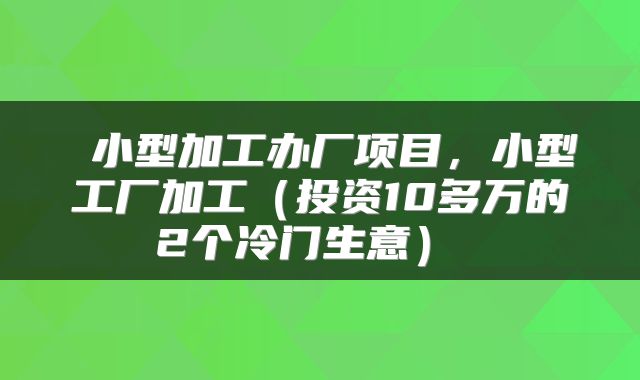  小型加工办厂项目，小型工厂加工（投资10多万的2个冷门生意） 
