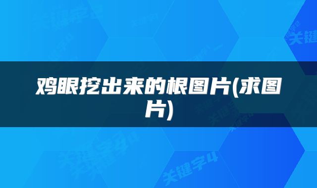 鸡眼挖出来的根图片(求图片)