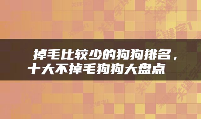  掉毛比较少的狗狗排名，十大不掉毛狗狗大盘点 