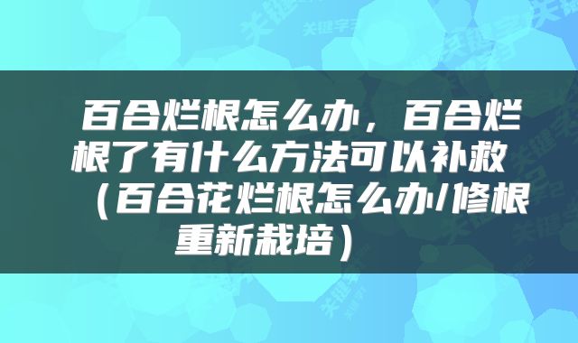  百合烂根怎么办，百合烂根了有什么方法可以补救（百合花烂根怎么办/修根重新栽培） 
