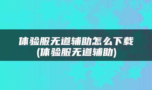 体验服无道辅助怎么下载(体验服无道辅助)