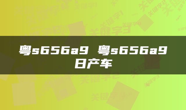 粤s656a9 粤s656a9日产车