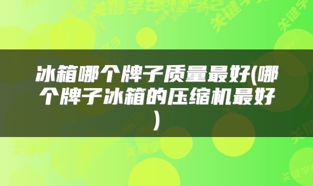 冰箱哪个牌子质量最好(哪个牌子冰箱的压缩机最好)