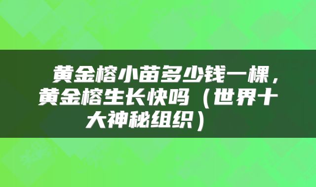  黄金榕小苗多少钱一棵，黄金榕生长快吗（世界十大神秘组织） 