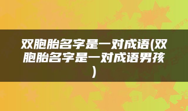 双胞胎名字是一对成语(双胞胎名字是一对成语男孩)