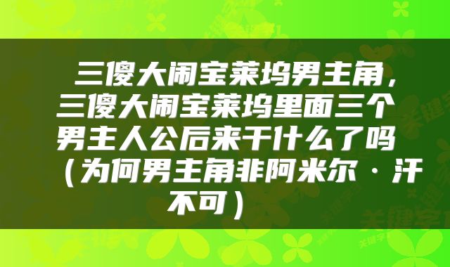  三傻大闹宝莱坞男主角，三傻大闹宝莱坞里面三个男主人公后来干什么了吗（为何男主角非阿米尔·汗不可） 