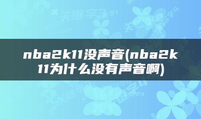 nba2k11没声音(nba2k11为什么没有声音啊)