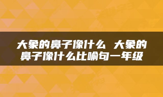 大象的鼻子像什么 大象的鼻子像什么比喻句一年级