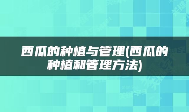 西瓜的种植与管理(西瓜的种植和管理方法)