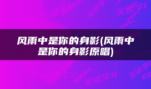 风雨中是你的身影(风雨中是你的身影原唱)