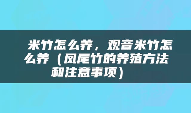  米竹怎么养，观音米竹怎么养（凤尾竹的养殖方法和注意事项） 