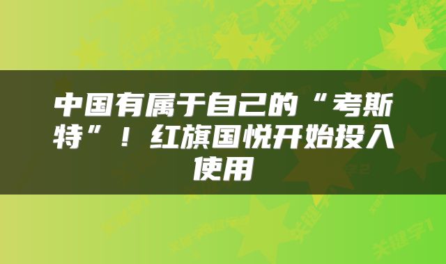 中国有属于自己的“考斯特”！红旗国悦开始投入使用