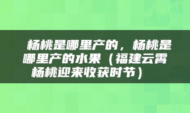  杨桃是哪里产的，杨桃是哪里产的水果（福建云霄杨桃迎来收获时节） 
