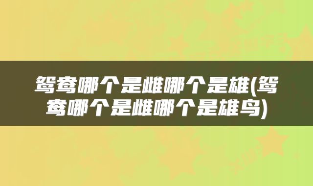 鸳鸯哪个是雌哪个是雄(鸳鸯哪个是雌哪个是雄鸟)
