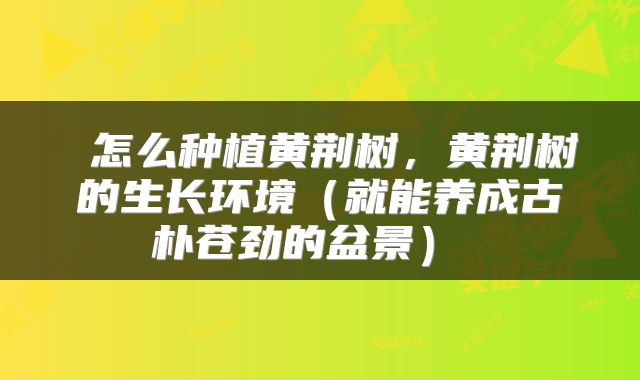  怎么种植黄荆树，黄荆树的生长环境（就能养成古朴苍劲的盆景） 