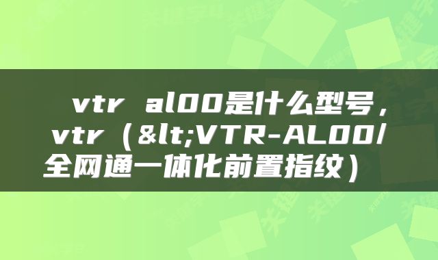  vtr al00是什么型号，vtr（<VTR-AL00/全网通一体化前置指纹） 