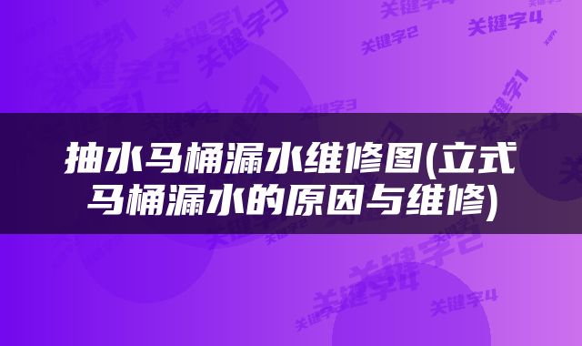 抽水马桶漏水维修图(立式马桶漏水的原因与维修)