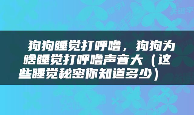  狗狗睡觉打呼噜，狗狗为啥睡觉打呼噜声音大（这些睡觉秘密你知道多少） 