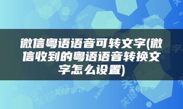 微信粤语语音可转文字(微信收到的粤语语音转换文字怎么设置)