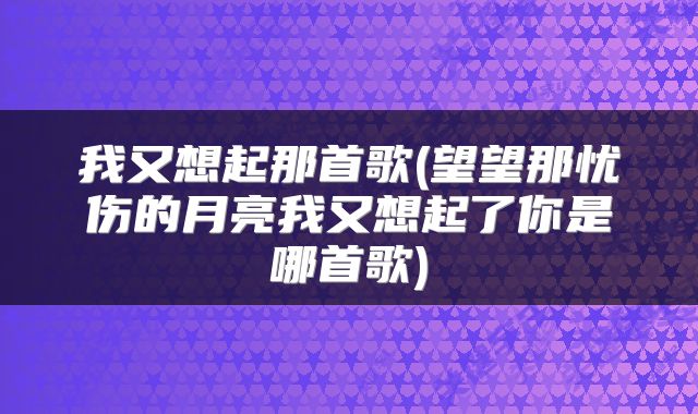 我又想起那首歌(望望那忧伤的月亮我又想起了你是哪首歌)
