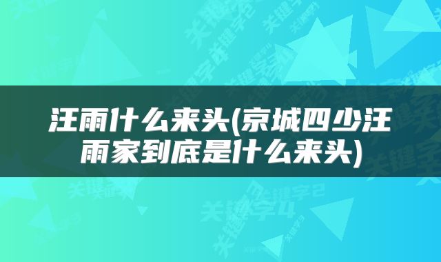 汪雨什么来头(京城四少汪雨家到底是什么来头)