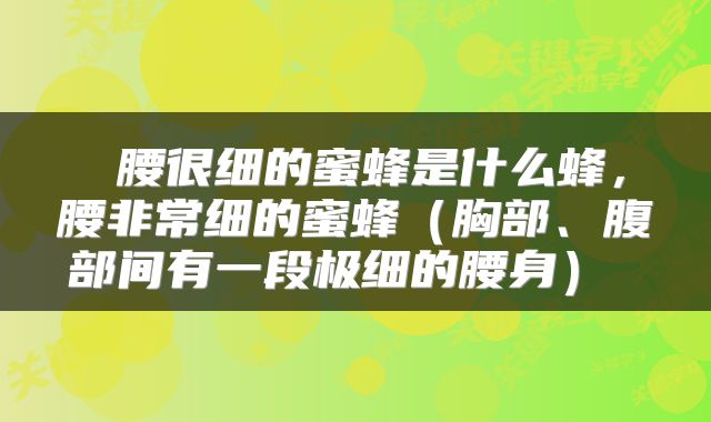 腰很细的蜜蜂是什么蜂,腰非常细的蜜蜂(胸部、腹部间有一段极细的腰身)