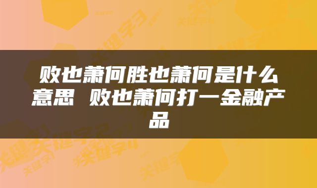 败也萧何胜也萧何是什么意思 败也萧何打一金融产品