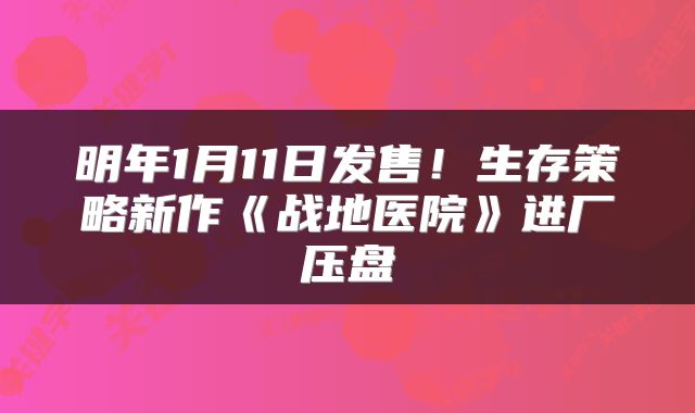 明年1月11日发售！生存策略新作《战地医院》进厂压盘