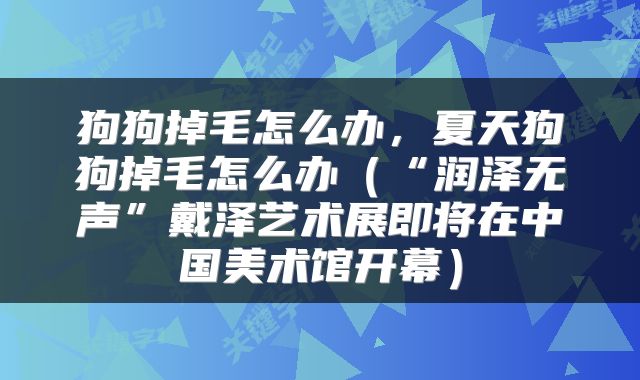 狗狗掉毛怎么办,夏天狗狗掉毛怎么办(“润泽无声”戴泽艺术展即将在中国美术馆开幕)