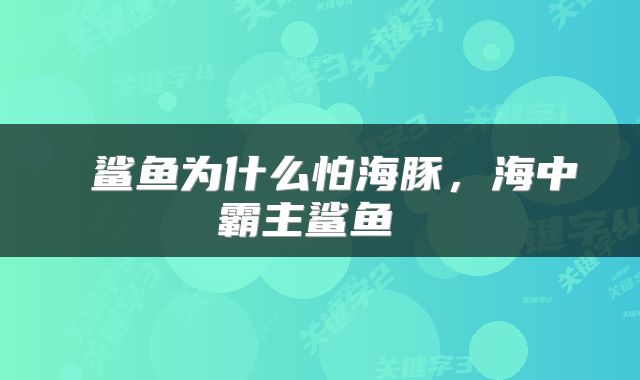 鲨鱼为什么怕海豚，海中霸主鲨鱼 