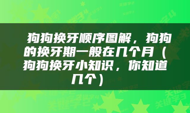 狗狗换牙顺序图解,狗狗的换牙期一般在几个月(狗狗换牙小知识,你知道几个)