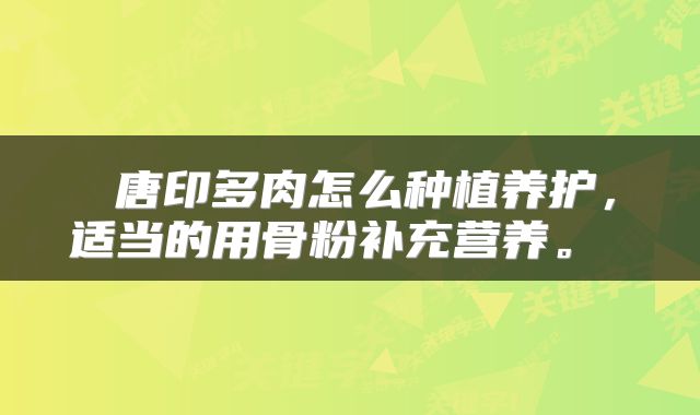  唐印多肉怎么种植养护，适当的用骨粉补充营养。 