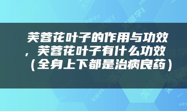  芙蓉花叶子的作用与功效，芙蓉花叶子有什么功效（全身上下都是治病良药） 