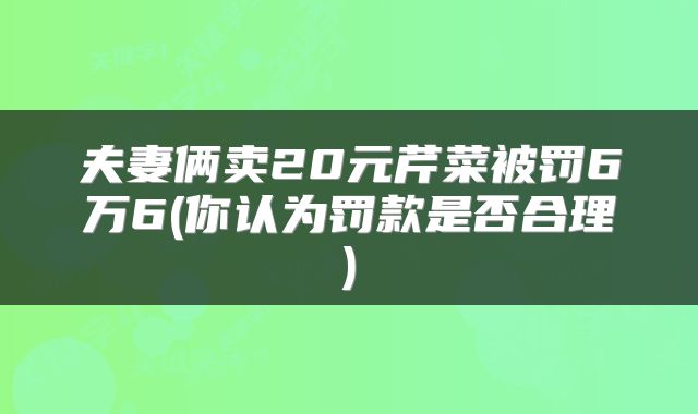 夫妻俩卖20元芹菜被罚6万6(你认为罚款是否合理)