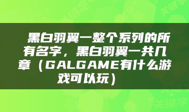  黑白羽翼一整个系列的所有名字，黑白羽翼一共几章（GALGAME有什么游戏可以玩） 