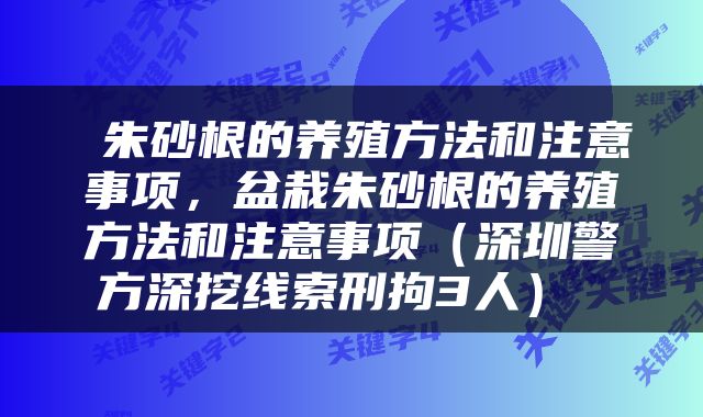  朱砂根的养殖方法和注意事项，盆栽朱砂根的养殖方法和注意事项（深圳警方深挖线索刑拘3人） 