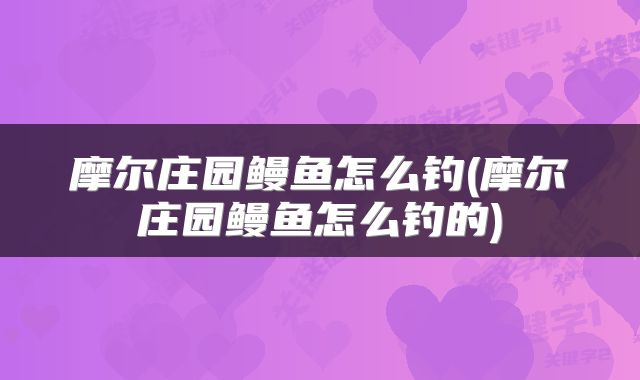 摩尔庄园鳗鱼怎么钓(摩尔庄园鳗鱼怎么钓的)