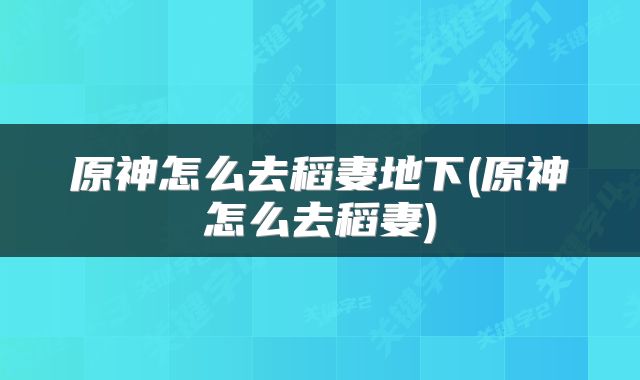 原神怎么去稻妻地下(原神怎么去稻妻)