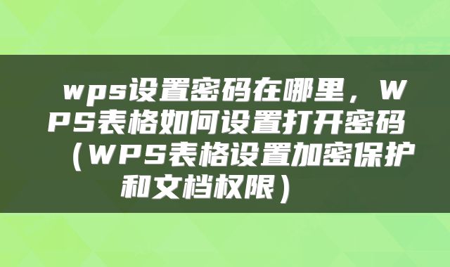  wps设置密码在哪里，WPS表格如何设置打开密码（WPS表格设置加密保护和文档权限） 