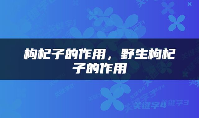 枸杞子的作用，野生枸杞子的作用