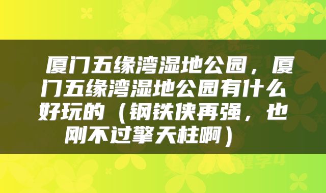  厦门五缘湾湿地公园，厦门五缘湾湿地公园有什么好玩的（钢铁侠再强，也刚不过擎天柱啊） 