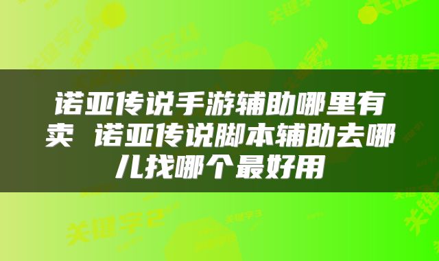 诺亚传说手游辅助哪里有卖 诺亚传说脚本辅助去哪儿找哪个最好用