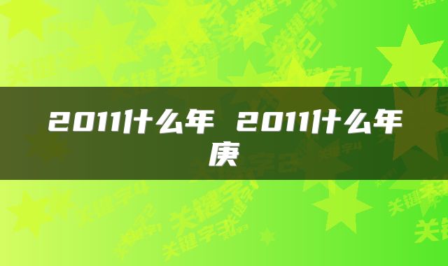 2011什么年 2011什么年庚
