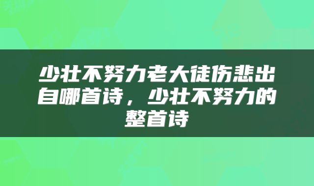少壮不努力老大徒伤悲出自哪首诗，少壮不努力的整首诗
