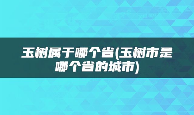 玉树属于哪个省(玉树市是哪个省的城市)