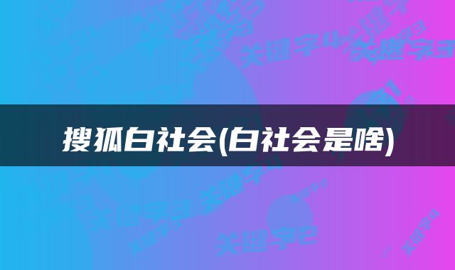 搜狐白社会(白社会是啥)